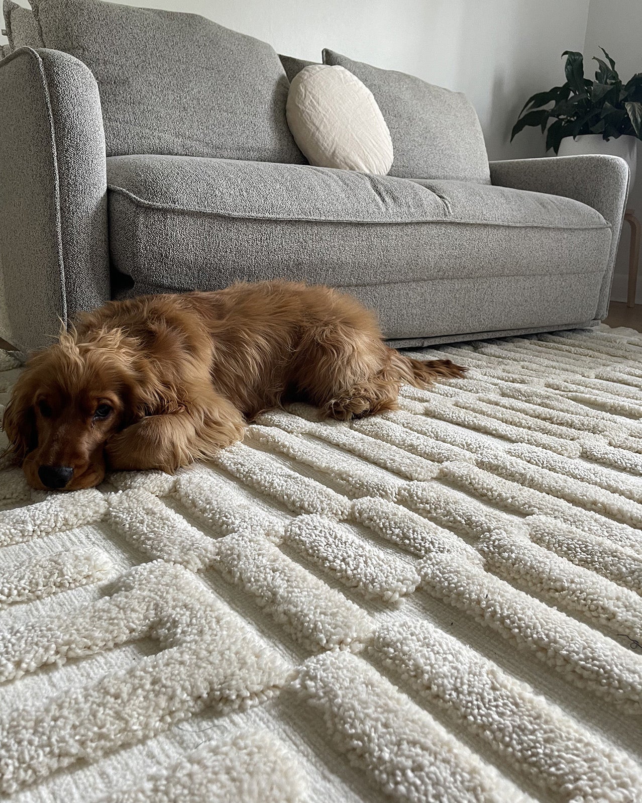 Leneisy Ivory Abstract Rug - Image 7